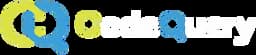 CodeQuery