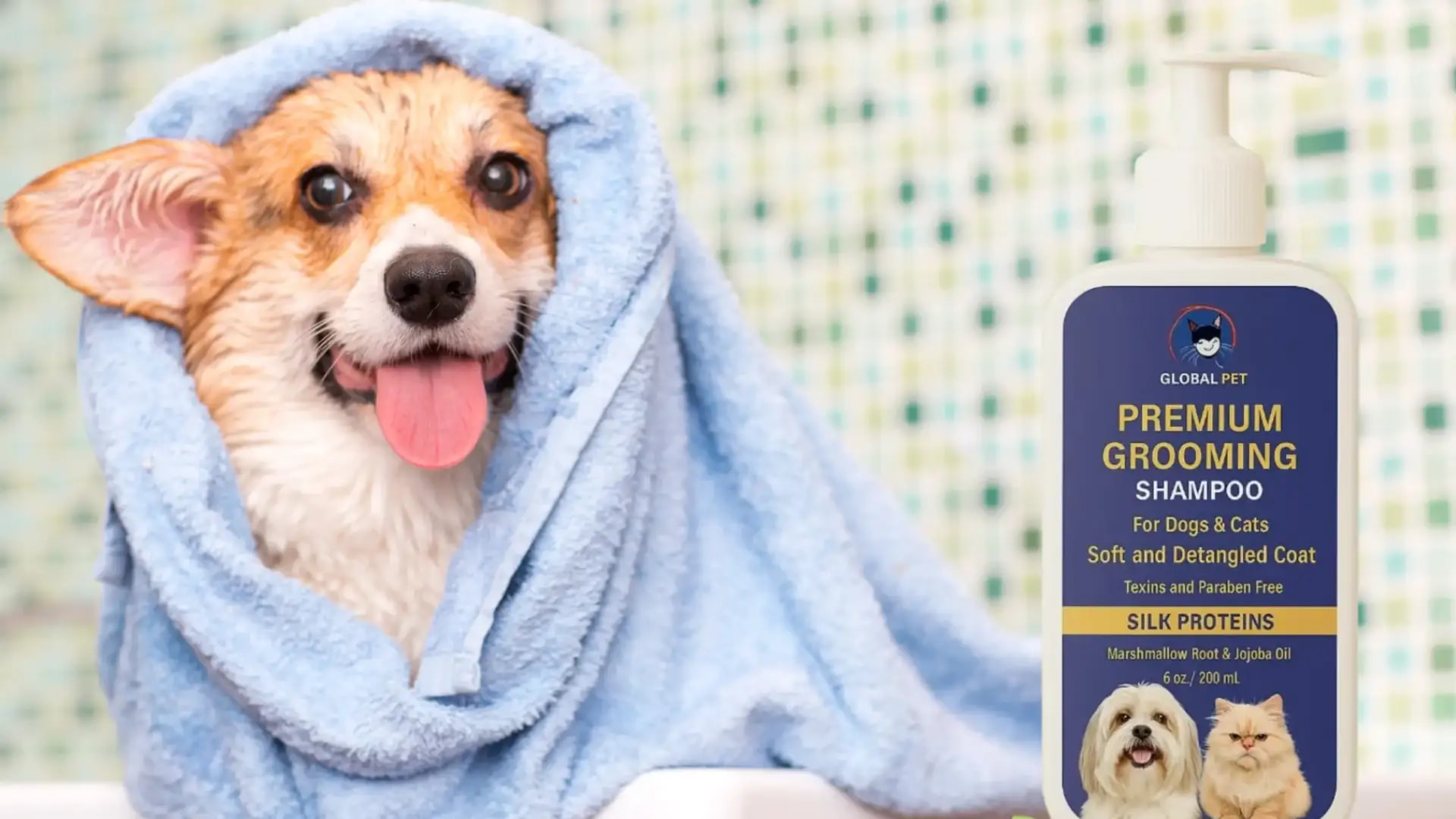 Premium Pet Care at Your Doorstep